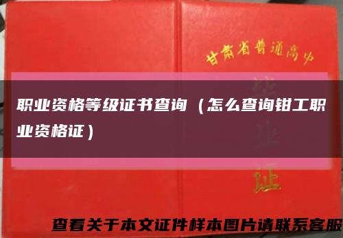 职业资格等级证书查询（怎么查询钳工职业资格证）缩略图