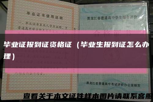 毕业证报到证资格证（毕业生报到证怎么办理）缩略图
