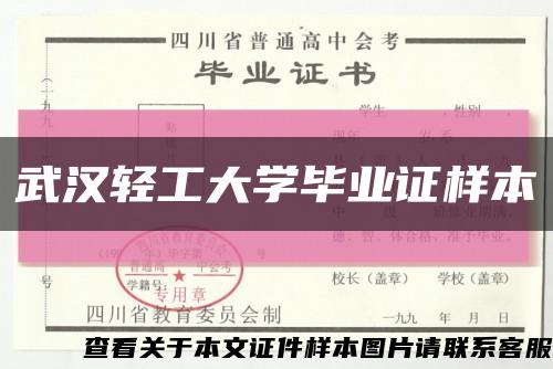 武汉轻工大学毕业证样本缩略图