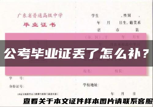 公考毕业证丢了怎么补？缩略图