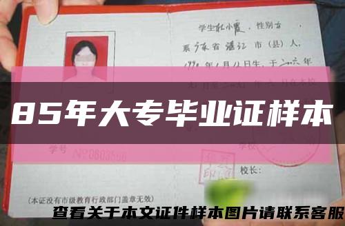 85年大专毕业证样本缩略图