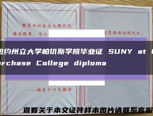 纽约州立大学帕切斯学院毕业证 SUNY at Purchase College diploma缩略图