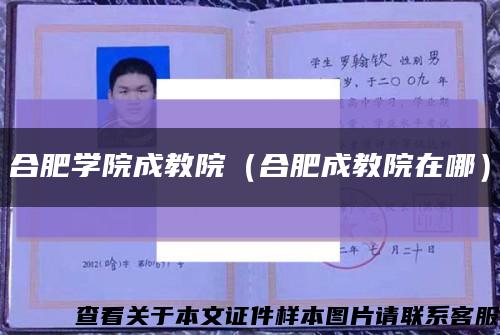 合肥学院成教院（合肥成教院在哪）缩略图