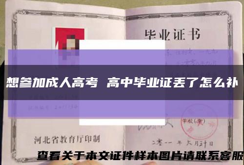 想参加成人高考 高中毕业证丢了怎么补缩略图