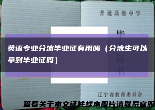 英语专业分流毕业证有用吗（分流生可以拿到毕业证吗）缩略图