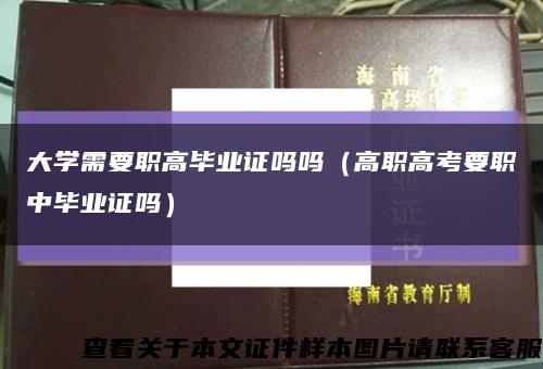 大学需要职高毕业证吗吗（高职高考要职中毕业证吗）缩略图