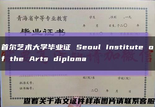 首尔艺术大学毕业证 Seoul Institute of the Arts diploma缩略图