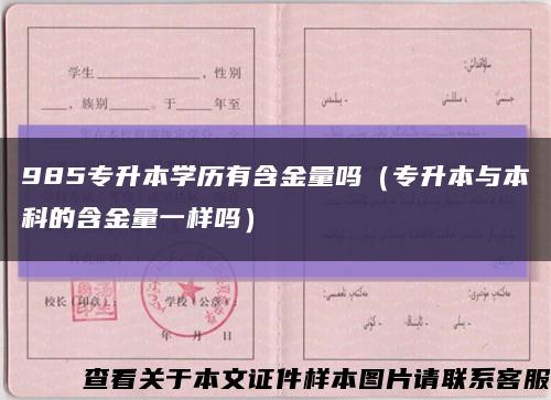 985专升本学历有含金量吗（专升本与本科的含金量一样吗）缩略图