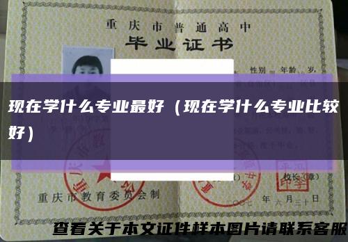 现在学什么专业最好（现在学什么专业比较好）缩略图
