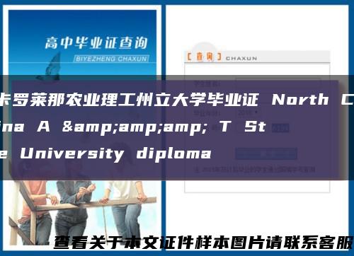 北卡罗莱那农业理工州立大学毕业证 North Carolina A &amp;amp; T State University diploma缩略图