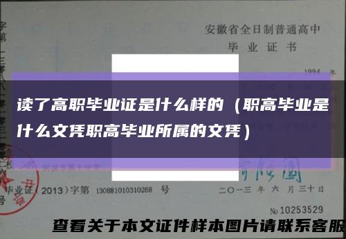 读了高职毕业证是什么样的（职高毕业是什么文凭职高毕业所属的文凭）缩略图