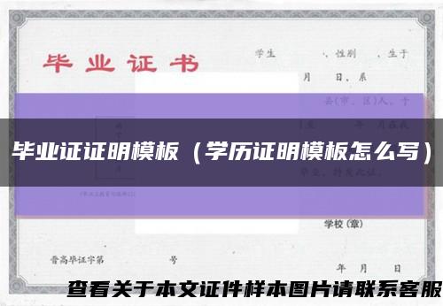 毕业证证明模板（学历证明模板怎么写）缩略图