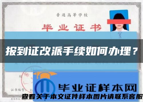 报到证改派手续如何办理？缩略图