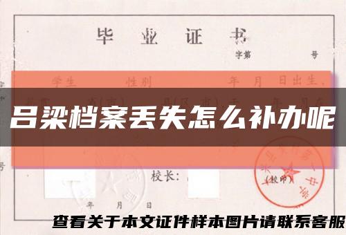 吕梁档案丢失怎么补办呢缩略图