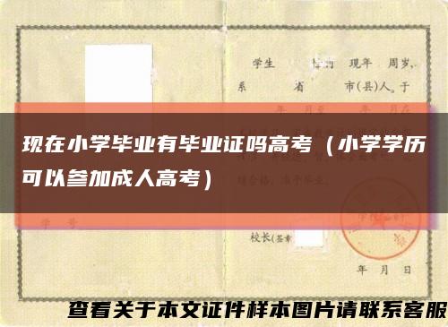 现在小学毕业有毕业证吗高考（小学学历可以参加成人高考）缩略图