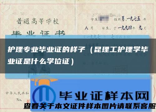 护理专业毕业证的样子（昆理工护理学毕业证是什么学位证）缩略图