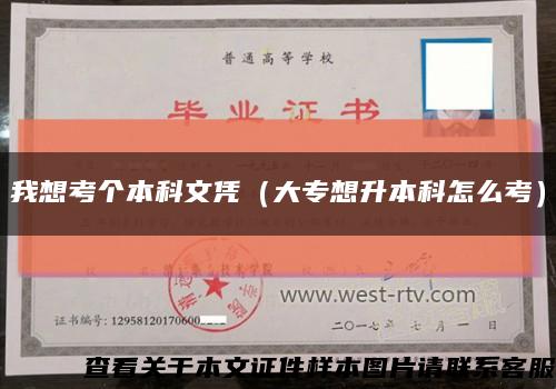 我想考个本科文凭（大专想升本科怎么考）缩略图