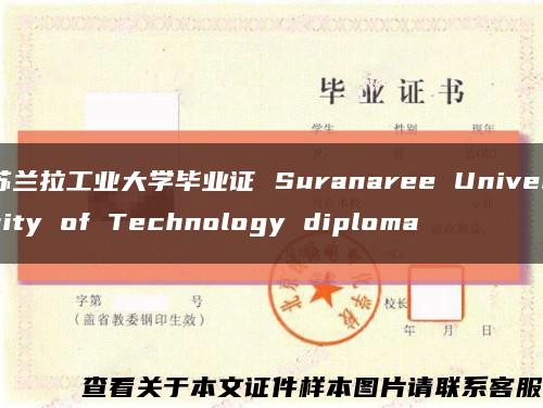 苏兰拉工业大学毕业证 Suranaree University of Technology diploma缩略图