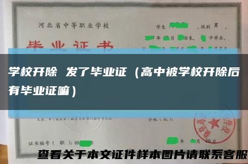 学校开除 发了毕业证（高中被学校开除后有毕业证嘛）缩略图