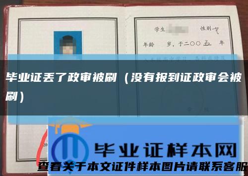 毕业证丢了政审被刷（没有报到证政审会被刷）缩略图