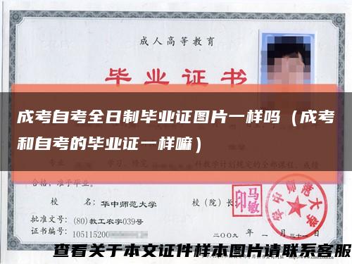 成考自考全日制毕业证图片一样吗（成考和自考的毕业证一样嘛）缩略图