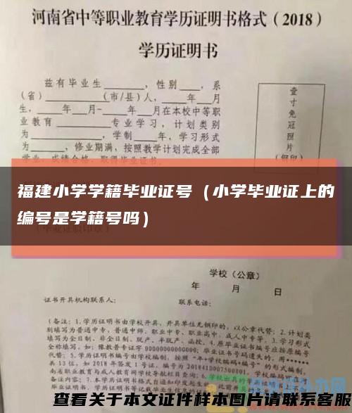 福建小学学籍毕业证号（小学毕业证上的编号是学籍号吗）缩略图