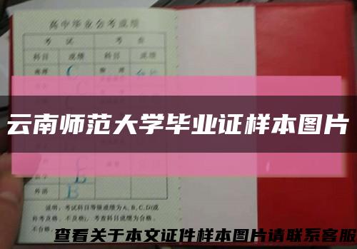云南师范大学毕业证样本图片缩略图