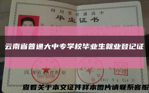 云南省普通大中专学校毕业生就业登记证缩略图