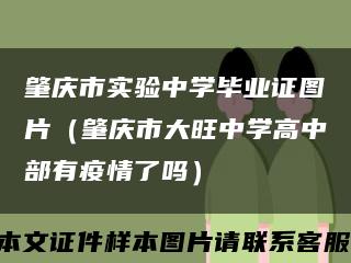 肇庆市实验中学毕业证图片（肇庆市大旺中学高中部有疫情了吗）缩略图