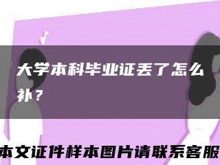 大学本科毕业证丢了怎么补？缩略图