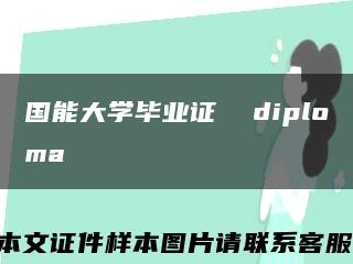 国能大学毕业证  diploma缩略图