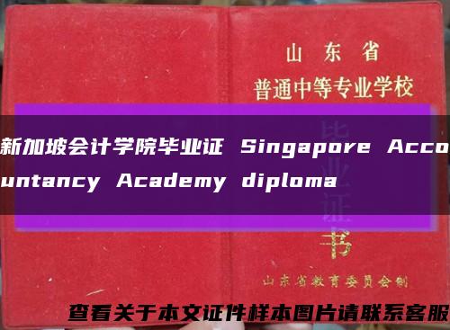 新加坡会计学院毕业证 Singapore Accountancy Academy diploma缩略图