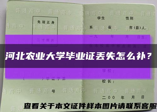 河北农业大学毕业证丢失怎么补？缩略图