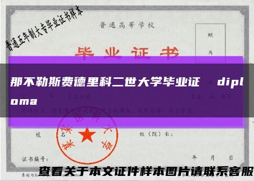 那不勒斯费德里科二世大学毕业证  diploma缩略图