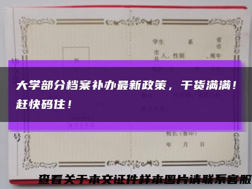 大学部分档案补办最新政策，干货满满！赶快码住！缩略图