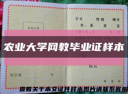 农业大学网教毕业证样本缩略图
