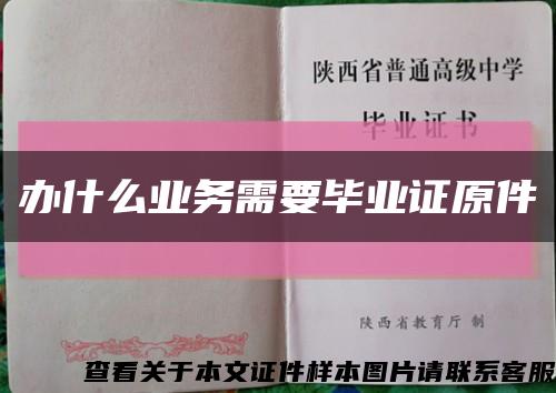 办什么业务需要毕业证原件缩略图