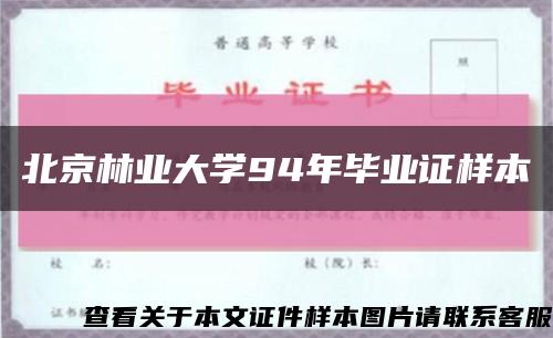 北京林业大学94年毕业证样本缩略图
