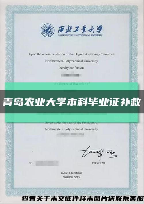 青岛农业大学本科毕业证补救缩略图