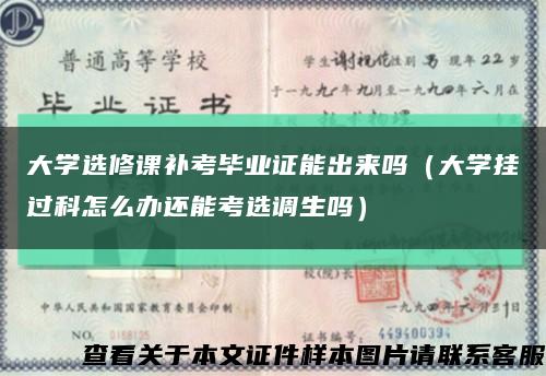 大学选修课补考毕业证能出来吗（大学挂过科怎么办还能考选调生吗）缩略图