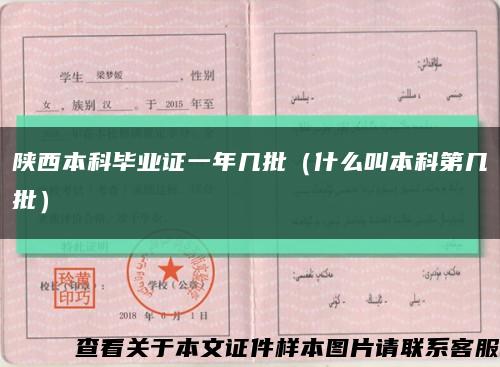 陕西本科毕业证一年几批（什么叫本科第几批）缩略图