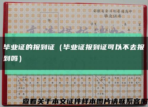 毕业证的报到证（毕业证报到证可以不去报到吗）缩略图