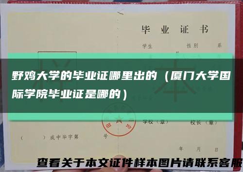 野鸡大学的毕业证哪里出的（厦门大学国际学院毕业证是哪的）缩略图