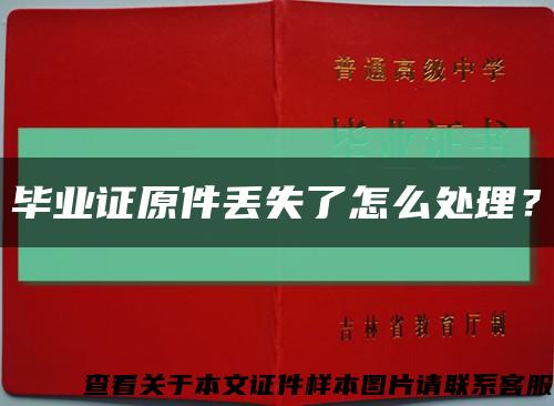 毕业证原件丢失了怎么处理？缩略图