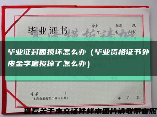毕业证封面损坏怎么办（毕业资格证书外皮金字磨损掉了怎么办）缩略图