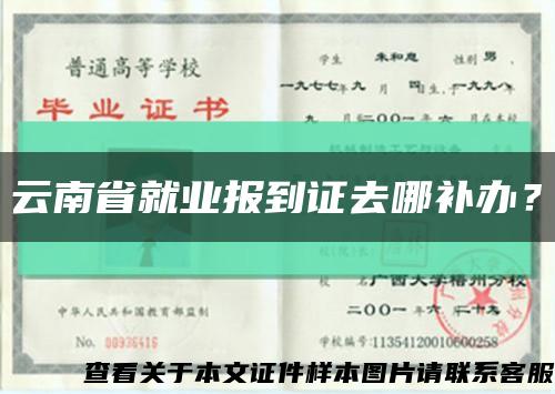 云南省就业报到证去哪补办？缩略图