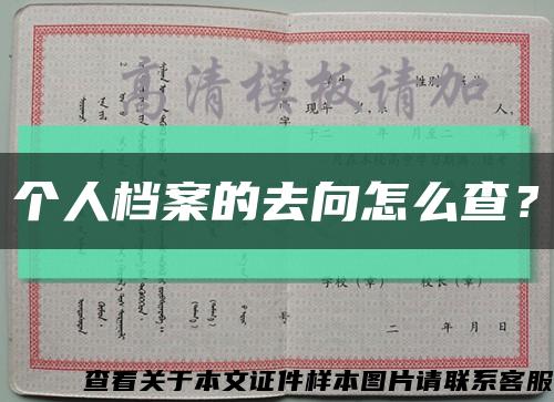 个人档案的去向怎么查？缩略图