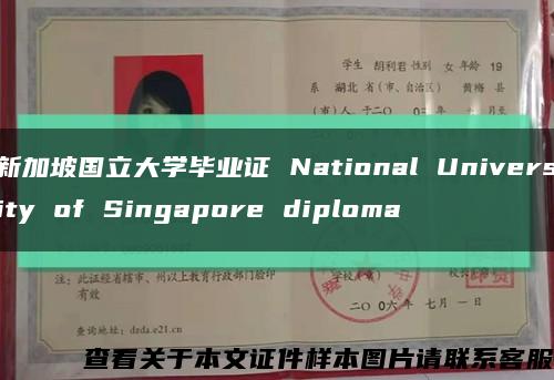 新加坡国立大学毕业证 National University of Singapore diploma缩略图