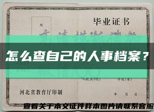 怎么查自己的人事档案？缩略图