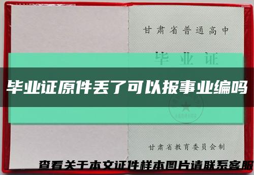 毕业证原件丢了可以报事业编吗缩略图